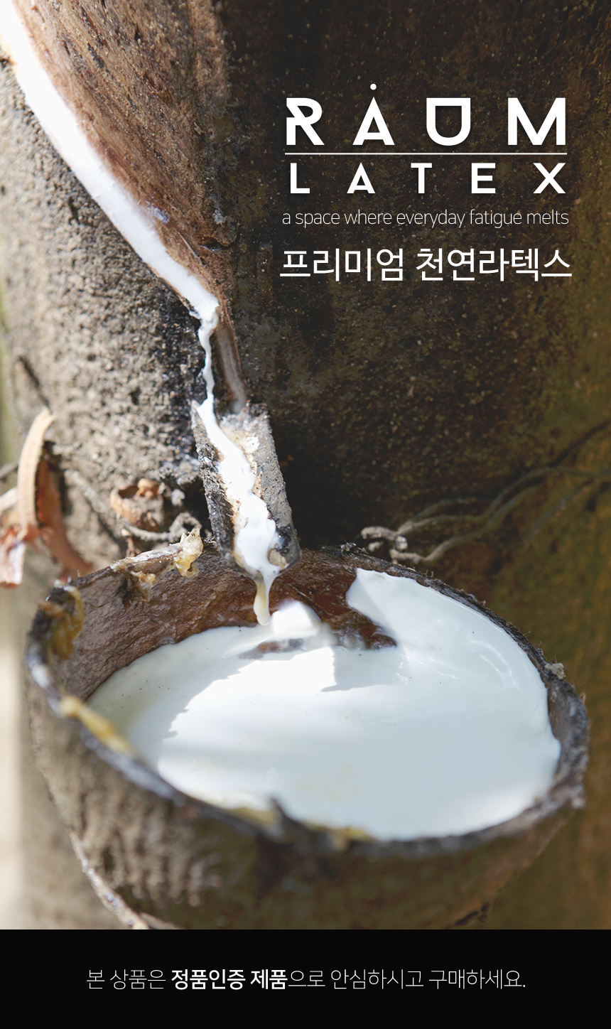 ★사은품★ 라움 말레이시아 천연라텍스/3단 접이식 토퍼 매트리스 - 사는 게 즐겁다! 롯데닷컴